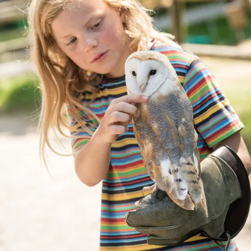 Mädchen  mit Eule auf dem Arm 