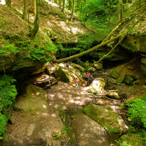 Drohnenaufnahme Familie Hexenklamm 