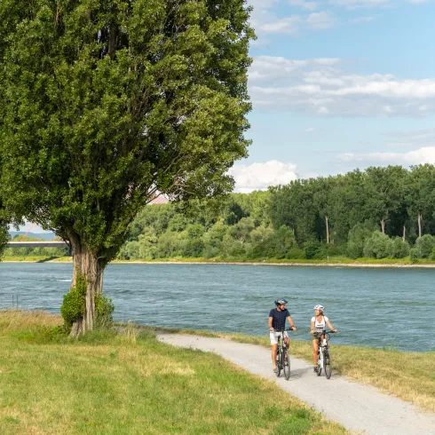 Zwei Radfahrer in Speyer am Rhein 