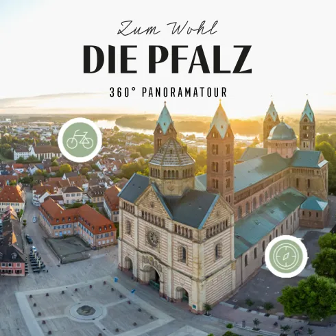 Panormabild von Speyer mit Icons