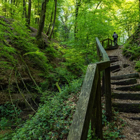 Eine Holztreppe führt entlang von Felsen durch dichten Wald.