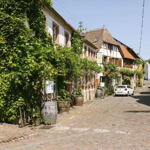 Übernachten beim Winzer