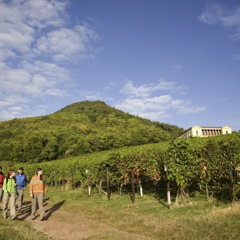 Wanderer in Weinbergen mit Villa Ludwigshöhe 