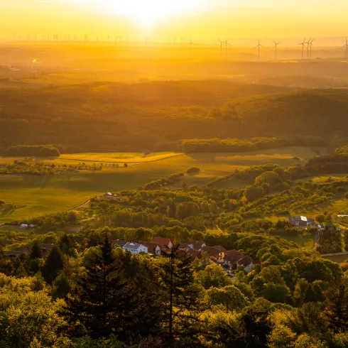 Ausblick vom Adlerbogen am Donnersberg über die Landschaft im Licht der späten Abendsonne.