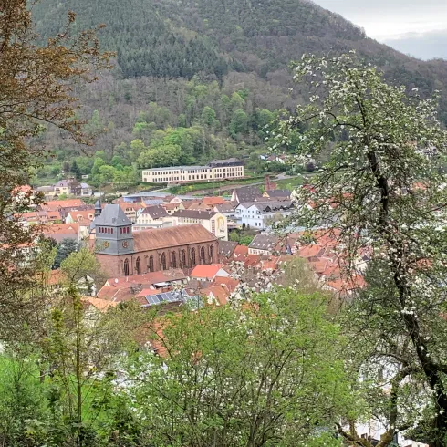Die Stadt Lambrecht umgeben vom Pfälzerwald gelegen.