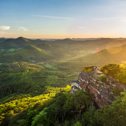 Aussicht am Orensfels über den Pfälzerwald