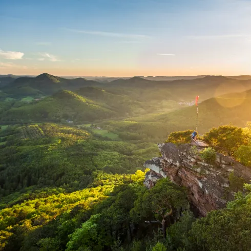 Aussicht am Orensfels über den Pfälzerwald