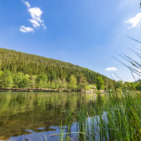 Der Badsee Clausensee in Waldfischbach-Burgalben im Pfälzerwald gelegen mit strahlendblauem Himmel.