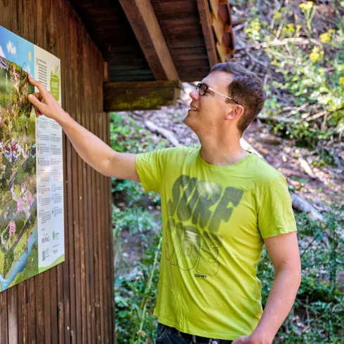 Eine Person steht vor einem Wimmelbild an der Kriegsberghütte Göllheim.