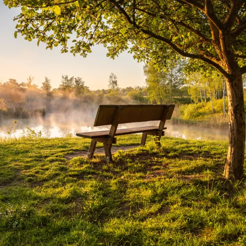 Eine Bank steht an einem See. Nebel steigt auf und die Morgensonne spiegelt sich im See.