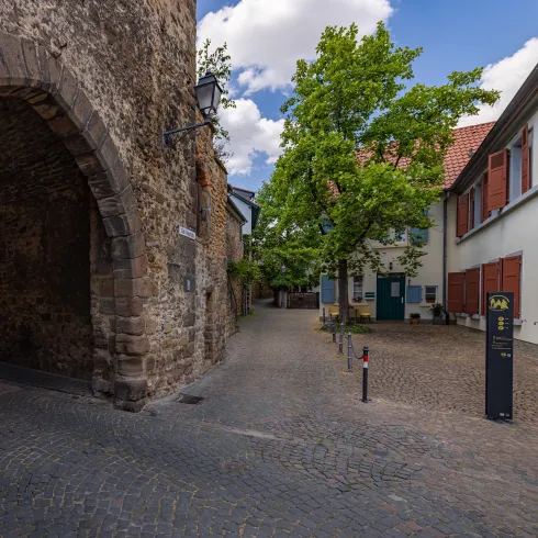 Die historische Stadtmauer Freinsheims und Fachwerkhäuser mit bunten Fensterläden.