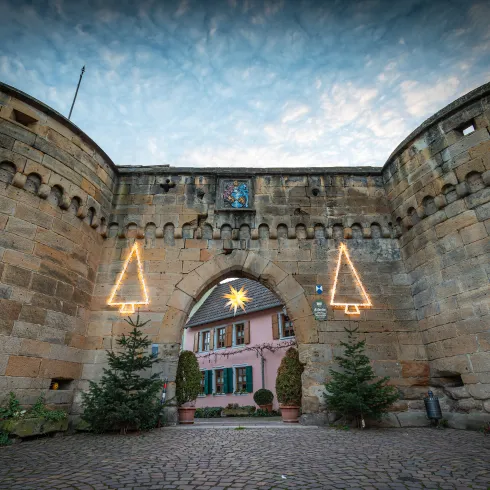 Die Stadtmauer von Freinsheim zur Weihnachtszeit. An der Mauer hängen Weihnachtslichter und davor stehen Tannenbäume.