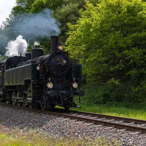 Eine Dampflokomotive rollt über die Gleisen entlang eines Waldes.