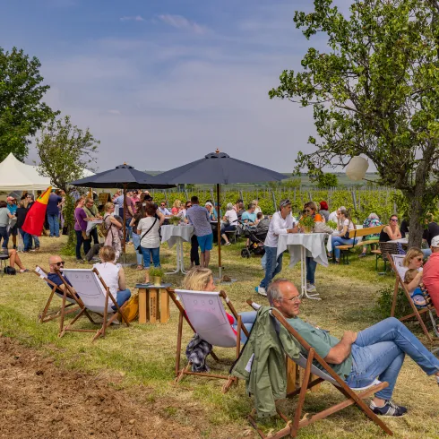 Sommerveranstaltung mit vielen Besucherinnen und Besuchern in den Weinbergen