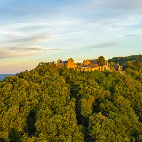 Luftaufnahme der Madenburg in Eschbach an einem Herbstmorgen.