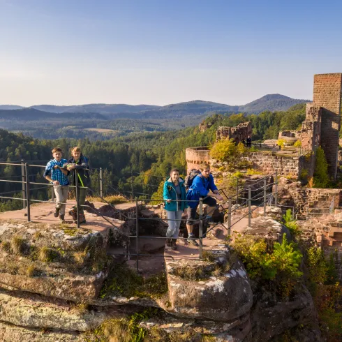 „Familie auf dem Aussichtsturm der Burg Altdahn mit Blick über grüne Wälder.