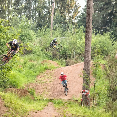Mountainbiker*innen im Bikepark Trippstadt die auf ihren Rädern ein hügeliges Waldgeländer befahren.