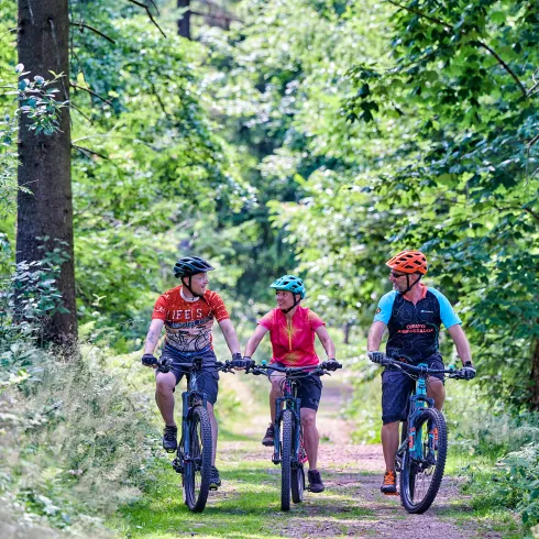 Drei Personen fahren mit dem Mountainbike durchs Donnersbergerland