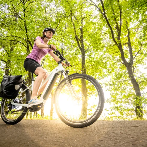 Eine Person fährt Rad auf einem Radweg in der Pfalz.