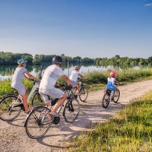 Eine Familie fährt mit dem Rad auf einem Radweg an der Radtouren an der Rheinschleife.