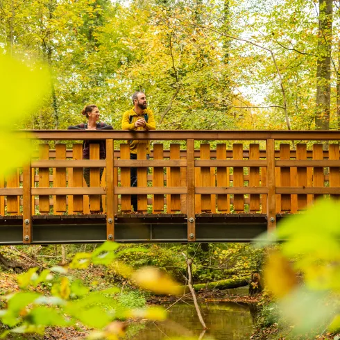 Zwei Menschen stehen an einer hölzernen Wanderbrücke im Wald