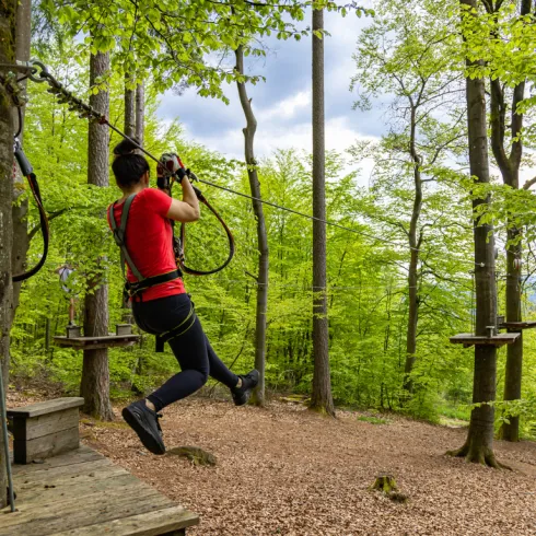 Eine Person klettert in einem Kletterpark in Elmstein