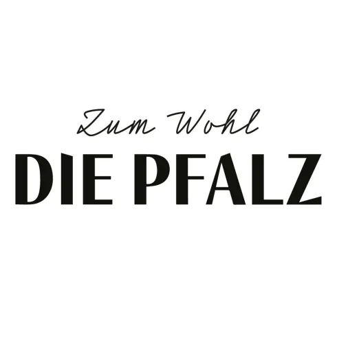Logo ZWDP