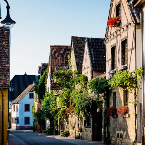 Eine Straße mit Fachwerkhäusern in Ruppertsberg