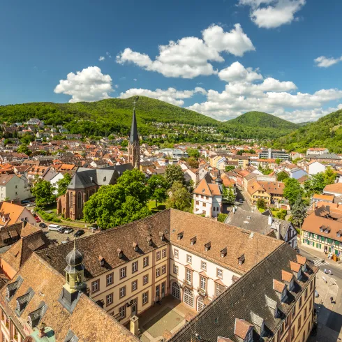 Ausblick von der Türmerwohnung in der Stiftskirche von Neustadt an der Weinstraße
