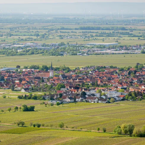 Die Ortschaft Maikammer vom Hambacher Schloss aus fotografiert.