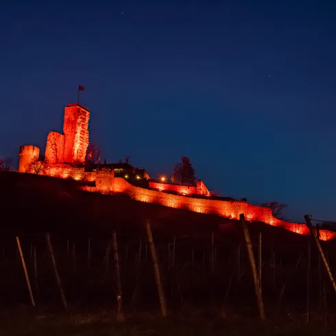 Die bei Nacht mit rosa Licht erleuchtete Burgruine Wachtenburg in Wachenheim. 