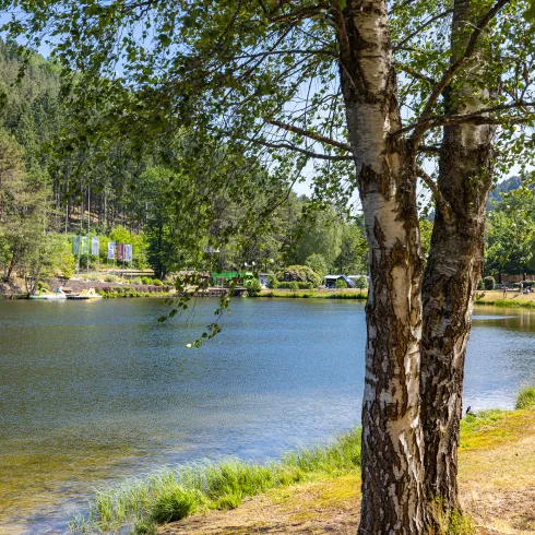 Ein See im Pfälzerwald an einem Sommertag.