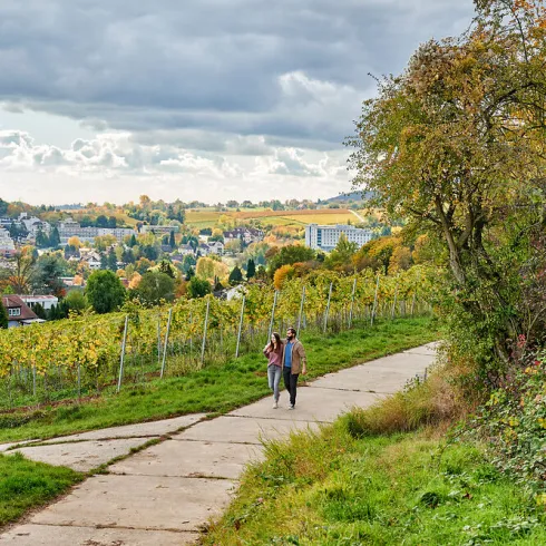 Zwei Personen spazieren durch die Weinberge der Kurstadt Bad Bergzaberns.