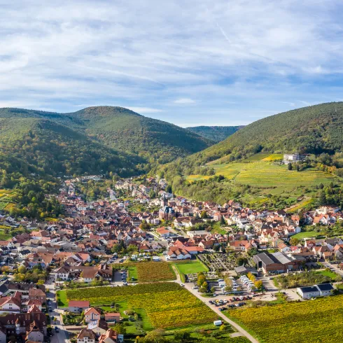  Herbstliches Weinland in St. Martin 