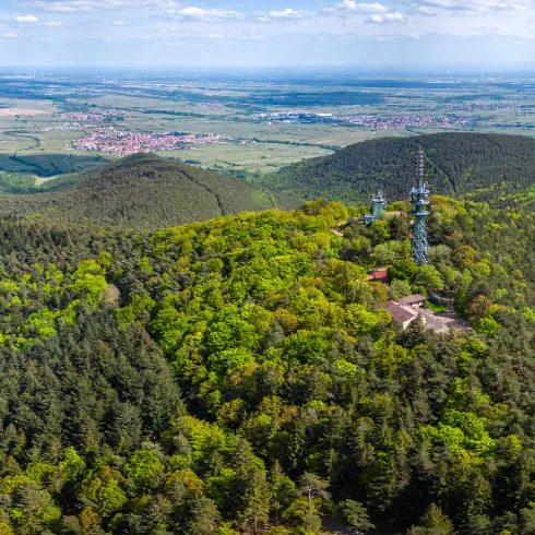 Luftaufnahme des Kalmit, dem höchste Berg des Biosphärenreservats Pfälzerwald.