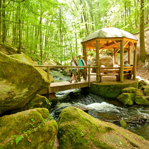  Eine Person wandert in der Karlstalschlucht bei Trippstadt am Pfälzer Waldpfad.