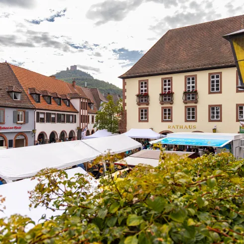  Keschdefest in Annweiler