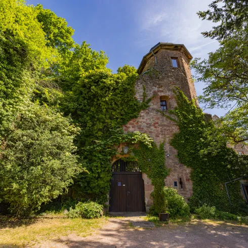 Die Kropsburg bei St. Martin im Sommer.