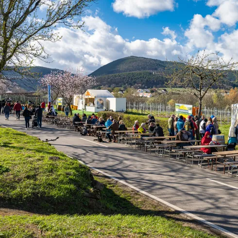 Besuchende auf der Mandelmeile Edenkoben