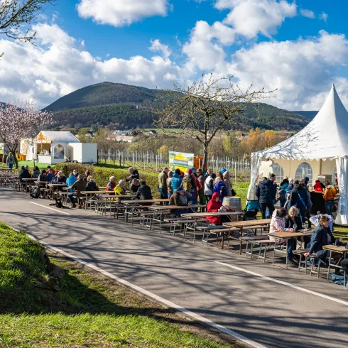 Besuchende auf der Mandelmeile Edenkoben