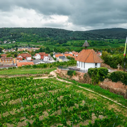 Die Michaeliskapelle von oben, zwischen den Weinbergen gelegen.