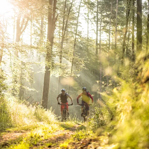 Zwei Mountainbiker fahren durch den Wald. Die Sonne scheint durch die Baumkronen.