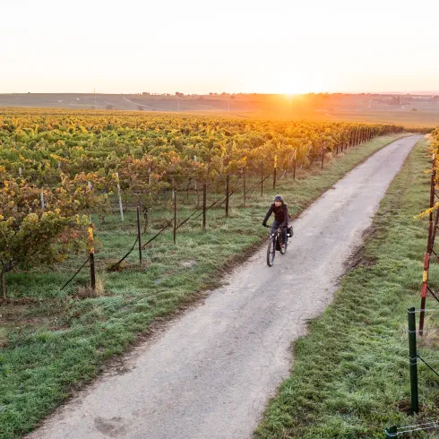 Ein Radfahrer fährt am Morgen 