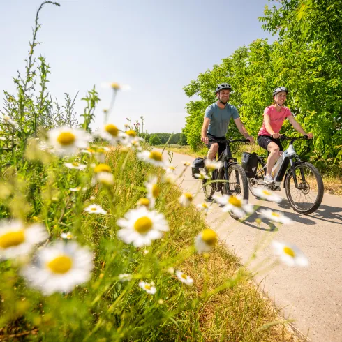 Zwei Radfahrende im Sommer bei Niederkirchen.