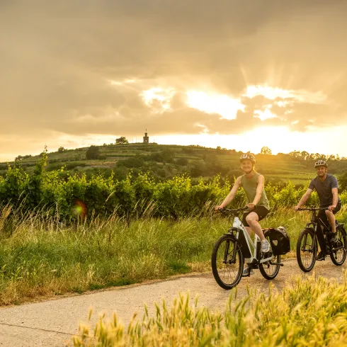 Zwei Personen fahren Rad in den Weinbergen.