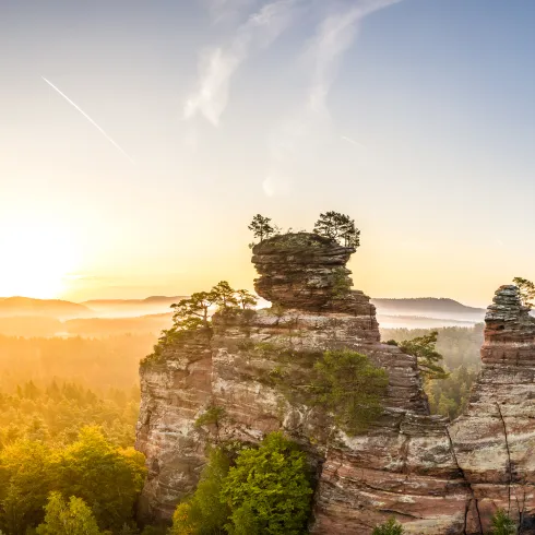 Sonnenaufgang am Lämmerfelsen in Dahn