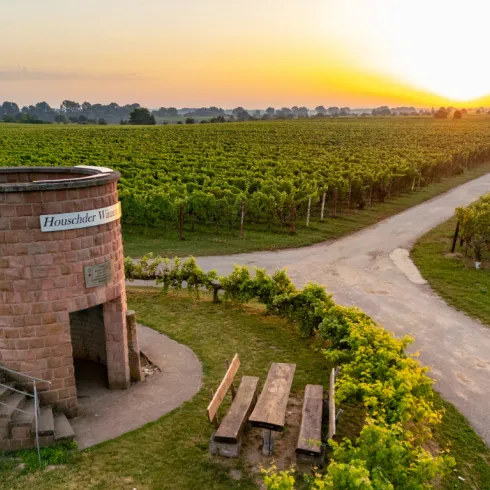  Sonnenaufgang am Hochstadter Winzerturm