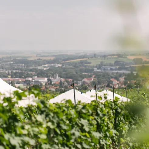 Urlaub in der Pfalz (© Lucie Greiner / medienagenten) Urlaub in der Pfalz