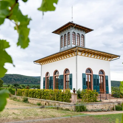 Der Teepavillon in Ruppertsberg an einem Sommertag, im Hintergrund erstrecken sich die Weinberge.