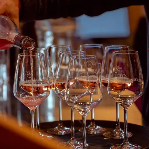 Wein wird in mehrere Weingläser gefüllt. 